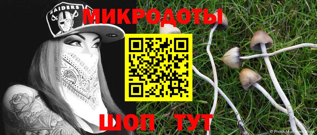 Галлюциногенные грибы Cubensis  Вход с VPN  Спасск-Дальний  Псилоцибиновые грибы Psilocybine cubensis 